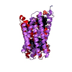 Example Structure of ascorbate ferrireductase (transmembrane) EC#: 1.16.5.1