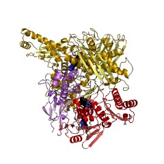Example Structure of xanthine dehydrogenase EC#: 1.17.1.4