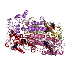 Example Structure of 4-hydroxy-tetrahydrodipicolinate reductase EC#: 1.17.1.8