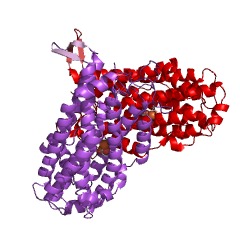 Example Structure of ribonucleoside-diphosphate reductase EC#: 1.17.4.1