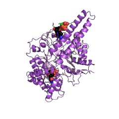 Example Structure of ribonucleoside-triphosphate reductase (thioredoxin) EC#: 1.17.4.2