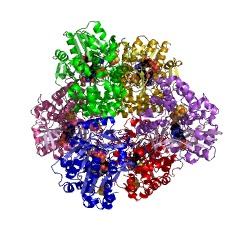 Example Structure of 7-hydroxymethyl chlorophyll a reductase EC#: 1.17.7.2