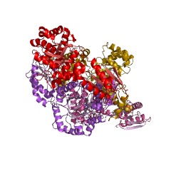 Example Structure of (E)-4-hydroxy-3-methylbut-2-enyl-diphosphate synthase (flavodoxin) EC#: 1.17.7.3