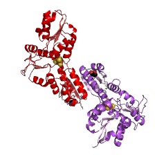 Example Structure of 4-hydroxy-3-methylbut-2-en-1-yl diphosphate reductase EC#: 1.17.7.4