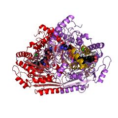 Example Structure of 4-methylphenol dehydrogenase (hydroxylating) EC#: 1.17.99.1