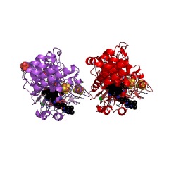 Example Structure of epoxyqueuosine reductase EC#: 1.17.99.6