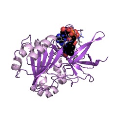 Example Structure of ferredoxin-NADP+ reductase EC#: 1.18.1.2