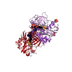 Example Structure of ferredoxin-NAD+ reductase EC#: 1.18.1.3