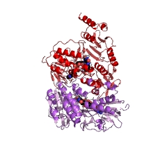 Example Structure of putidaredoxin-NAD+ reductase EC#: 1.18.1.5