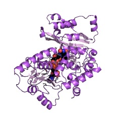Example Structure of adrenodoxin-NADP+ reductase EC#: 1.18.1.6