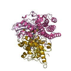 Example Structure of hydrogenase EC#: 1.18.99.1