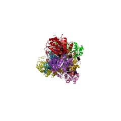 Example Structure of acetaldehyde dehydrogenase (acetylating) EC#: 1.2.1.10
