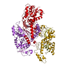 Example Structure of aspartate-semialdehyde dehydrogenase EC#: 1.2.1.11