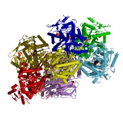 Example Structure of succinate-semialdehyde dehydrogenase [NAD(P)+] EC#: 1.2.1.16
