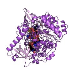 Example Structure of formate dehydrogenase EC#: 1.2.1.2