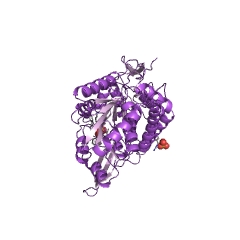 Example Structure of lactaldehyde dehydrogenase EC#: 1.2.1.22