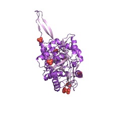 Example Structure of succinate-semialdehyde dehydrogenase (NAD+) EC#: 1.2.1.24
