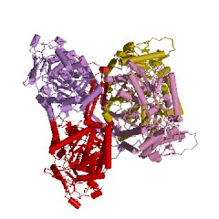 Example Structure of aldehyde dehydrogenase (NAD+) EC#: 1.2.1.3