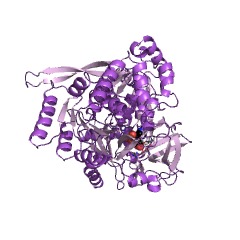 Example Structure of carboxylate reductase (NADP+) EC#: 1.2.1.30