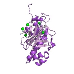 Example Structure of L-aminoadipate-semialdehyde dehydrogenase EC#: 1.2.1.31