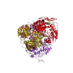 Example Structure of phenylacetaldehyde dehydrogenase EC#: 1.2.1.39