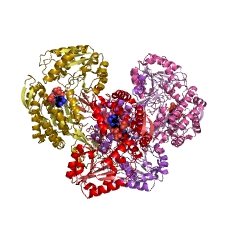 Example Structure of aldehyde dehydrogenase (NADP+) EC#: 1.2.1.4
