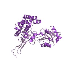 Example Structure of glutamate-5-semialdehyde dehydrogenase EC#: 1.2.1.41