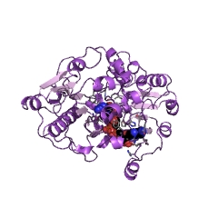 Example Structure of formate dehydrogenase (NADP+) EC#: 1.2.1.43