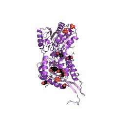 Example Structure of salicylaldehyde dehydrogenase EC#: 1.2.1.65