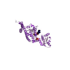 Example Structure of glutamyl-tRNA reductase EC#: 1.2.1.70