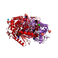 Example Structure of succinylglutamate-semialdehyde dehydrogenase EC#: 1.2.1.71