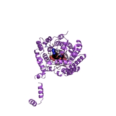 Example Structure of L-glutamate gamma-semialdehyde dehydrogenase EC#: 1.2.1.88