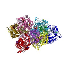 Example Structure of D-glyceraldehyde dehydrogenase (NADP+) EC#: 1.2.1.89