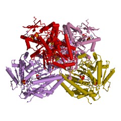 Example Structure of glyceraldehyde-3-phosphate dehydrogenase (NADP+) EC#: 1.2.1.9