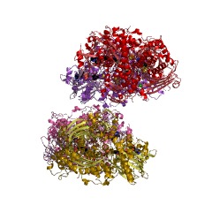 Example Structure of aldehyde oxidase EC#: 1.2.3.1