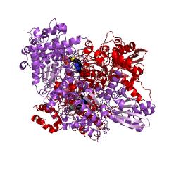Example Structure of pyruvate dehydrogenase (acetyl-transferring) EC#: 1.2.4.1