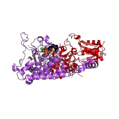 Example Structure of 3-methyl-2-oxobutanoate dehydrogenase (2-methylpropanoyl-transferring) EC#: 1.2.4.4