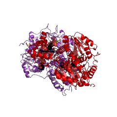 Example Structure of pyruvate dehydrogenase (quinone) EC#: 1.2.5.1