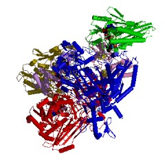 Example Structure of aerobic carbon monoxide dehydrogenase EC#: 1.2.5.3