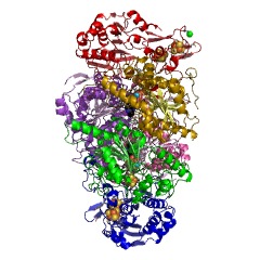Example Structure of oxalate oxidoreductase EC#: 1.2.7.10