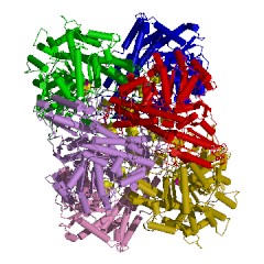 Example Structure of anaerobic carbon-monoxide dehydrogenase EC#: 1.2.7.4