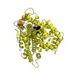 Example Structure of carbon-monoxide dehydrogenase (acceptor) EC#: 1.2.99.2