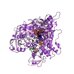 Example Structure of aldehyde dehydrogenase (FAD-independent) EC#: 1.2.99.7