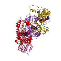 Example Structure of phosphonate dehydrogenase EC#: 1.20.1.1