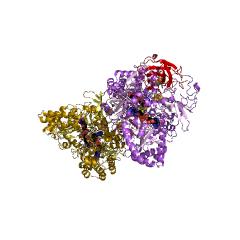 Example Structure of arsenate reductase (azurin) EC#: 1.20.9.1