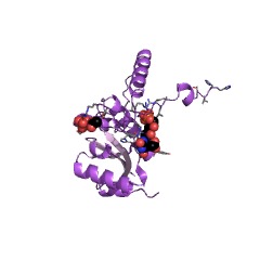 उदाहरण iodotyrosine deiodinase EC #: 1.21.1.1 की संरचना