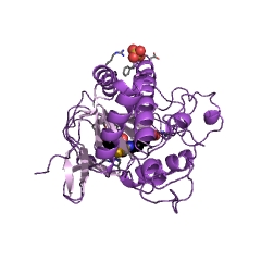 Example Structure of isopenicillin-N synthase EC#: 1.21.3.1
