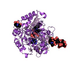 Example Structure of reticuline oxidase EC#: 1.21.3.3