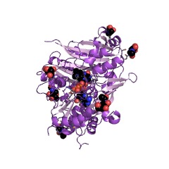 Example Structure of tetrahydrocannabinolic acid synthase EC#: 1.21.3.7