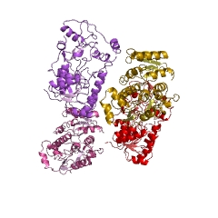 مثال ساختار (-)-lariciresinol reductase EC#: 1.23.1.4